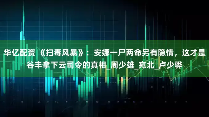 华亿配资 《扫毒风暴》：安娜一尸两命另有隐情，这才是谷丰拿下云司令的真相_周少雄_宛北_卢少骅