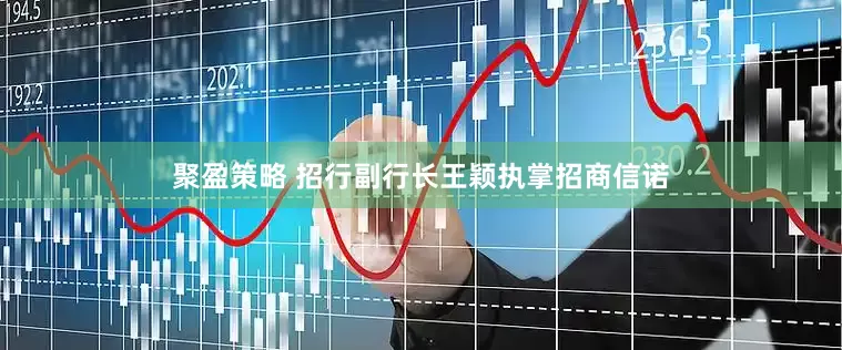 聚盈策略 招行副行长王颖执掌招商信诺